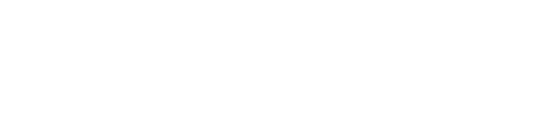 One NZ